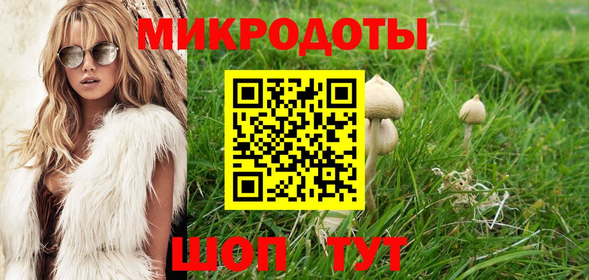 Псилоцибиновые грибы Magic Shrooms Кисловодск