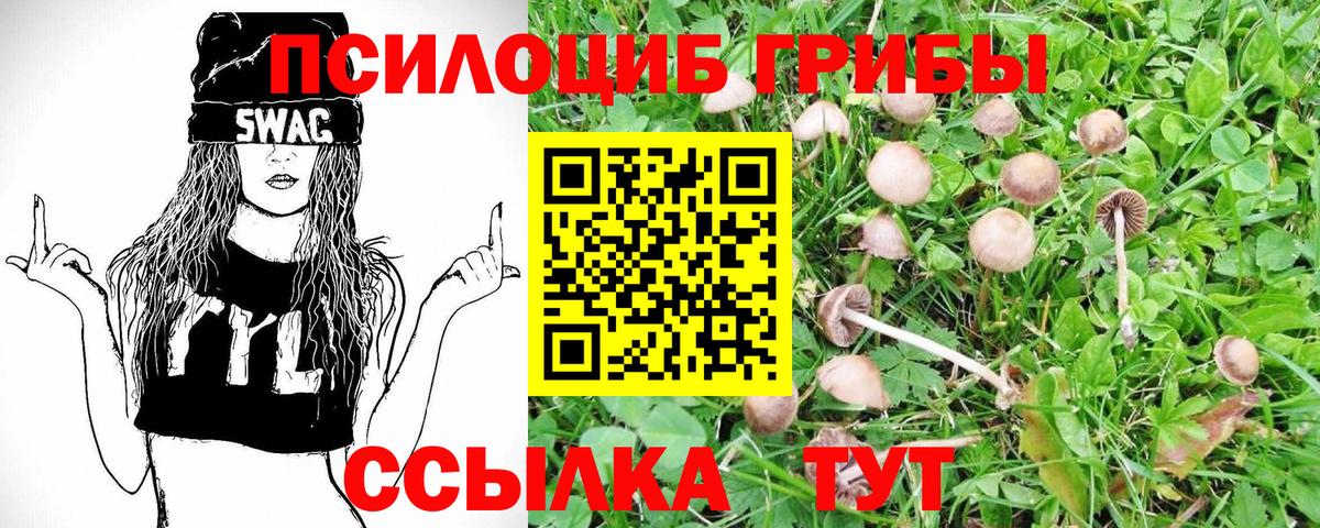 Галлюциногенные грибы ЛСД  Галлюциногенные грибы мицелий  Вход с VPN  Кисловодск 