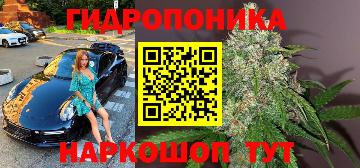 Шишки марихуана марихуана  Вход с VPN  Марихуана гибрид  Кисловодск 